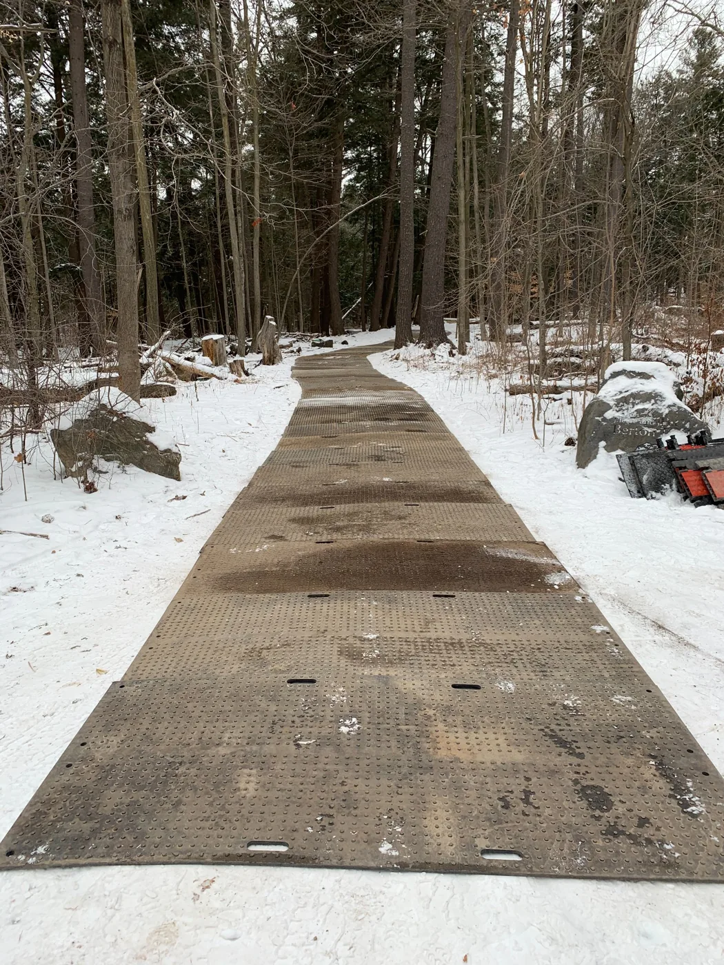 Winter temporary access road through snow-covered woodland